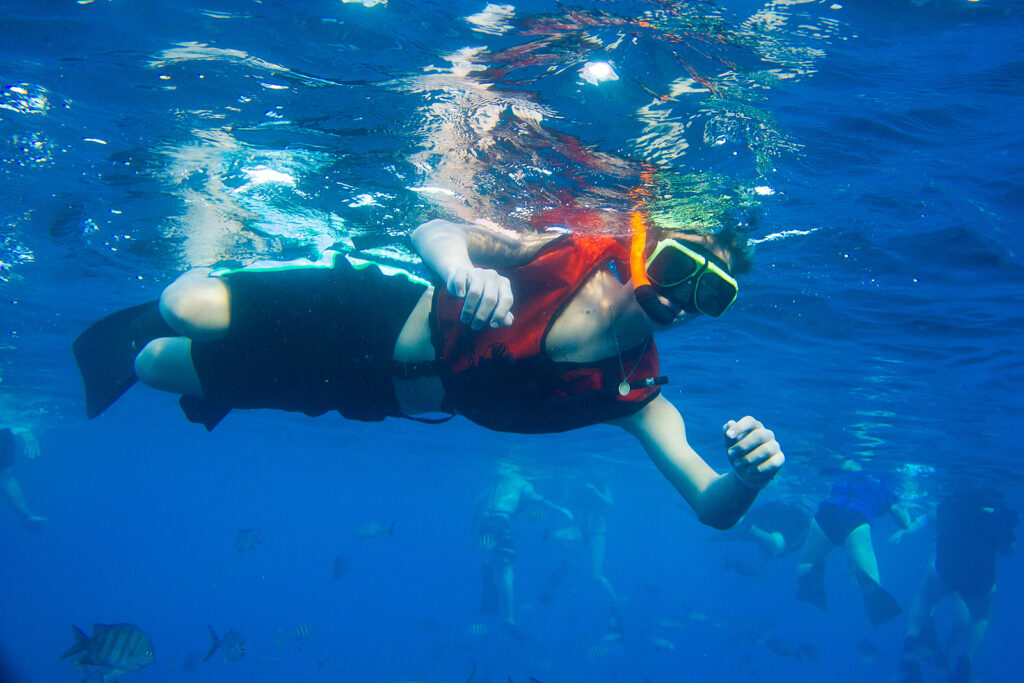 Boy snorkeling under water in ocean in Aruba.